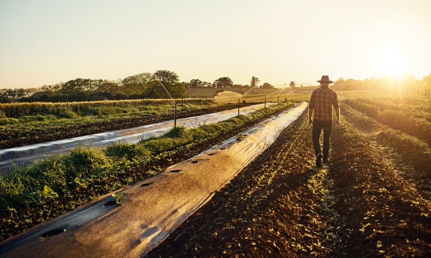 Increasingly popular 'parametric insurance' proves a hit with farmers