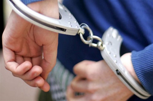 Singaporean sentenced to 11 months’ prison for lending car to fraud ring