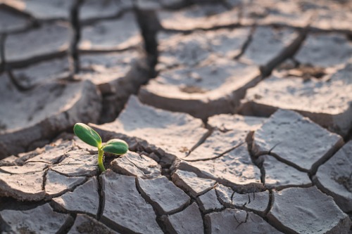 Zurich commits to UN pledge to combat climate change