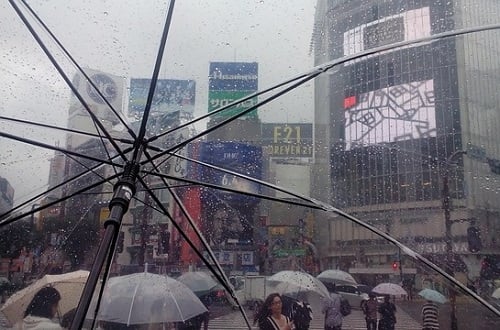 Asian urbanisation driving disaster losses